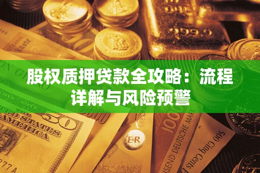 北京股权质押贷款全攻略：流程详解与风险预警