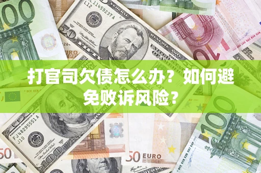 北京打官司欠债怎么办？如何避免败诉风险？