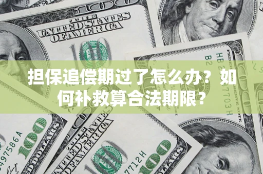 北京担保追偿期过了怎么办？如何补救算合法期限？
