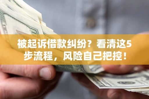 北京被起诉借款纠纷？看清这5步流程，风险自己把控！